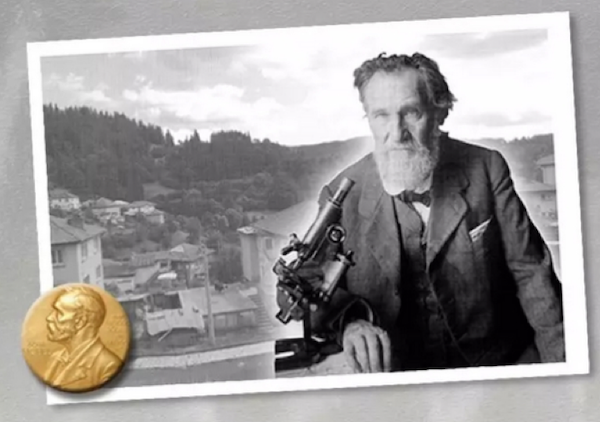 bright dairy advert.png